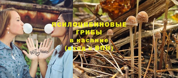 PSILOCYBIN Абдулино