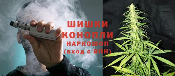 PSILOCYBIN Абдулино