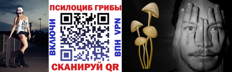 Галлюциногенные грибы Magic Shrooms  купить наркотик  Тюкалинск 